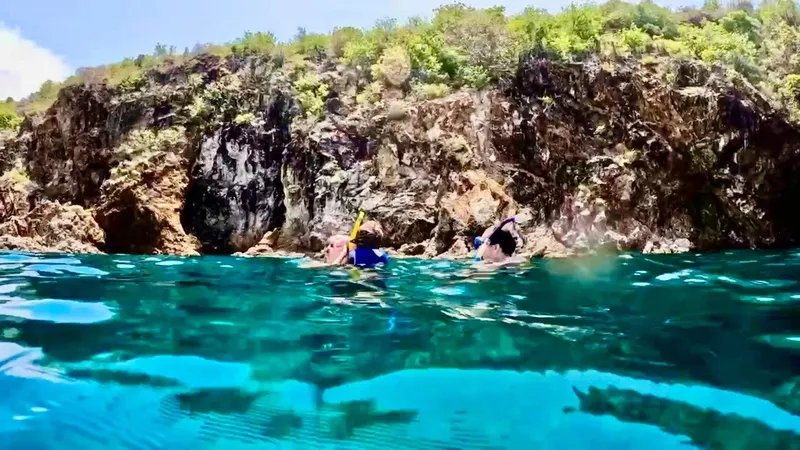 Snorkeler exploring crystal-clear waters at a top BVI reef beach on a private snorkeling tour in Tortola BVI, British Virgin Islands